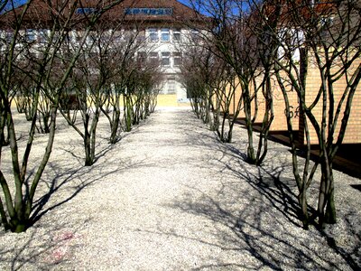 Park plant gravel paths photo