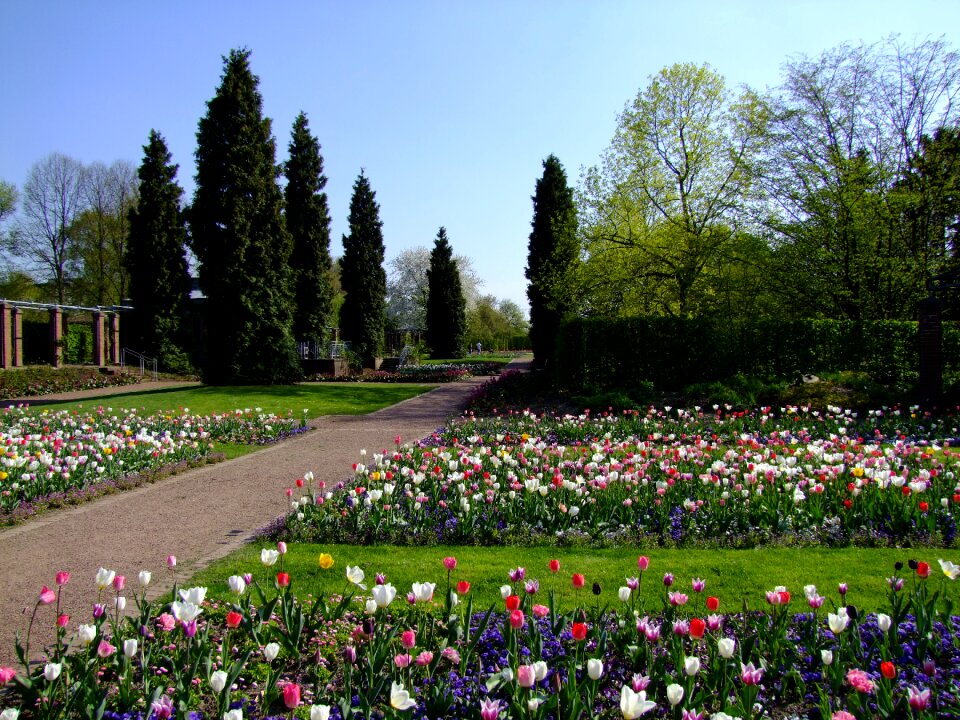 Flower bed south park park