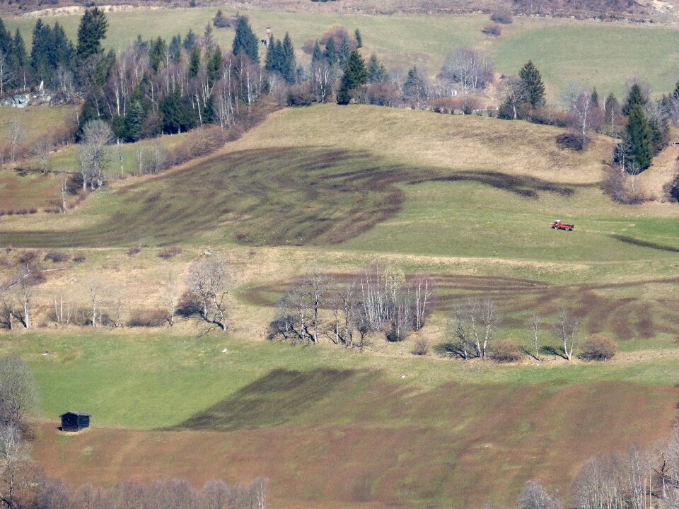Mountainside fertilization landscape painter