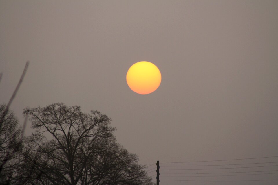 Sun landscape fog