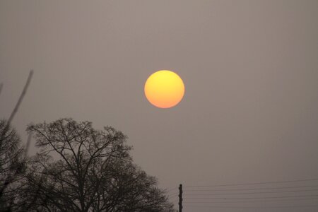 Sun landscape fog