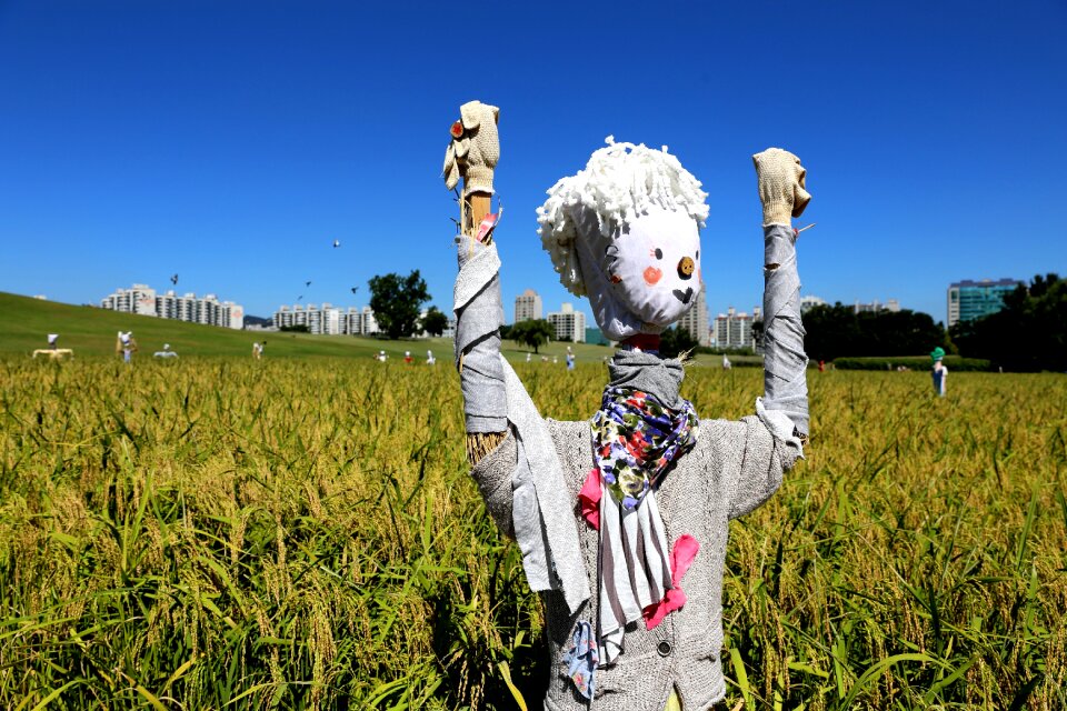 The scarecrow sky spring