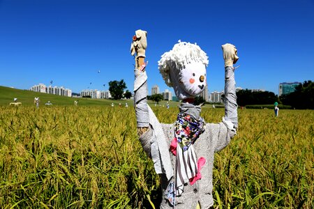The scarecrow sky spring