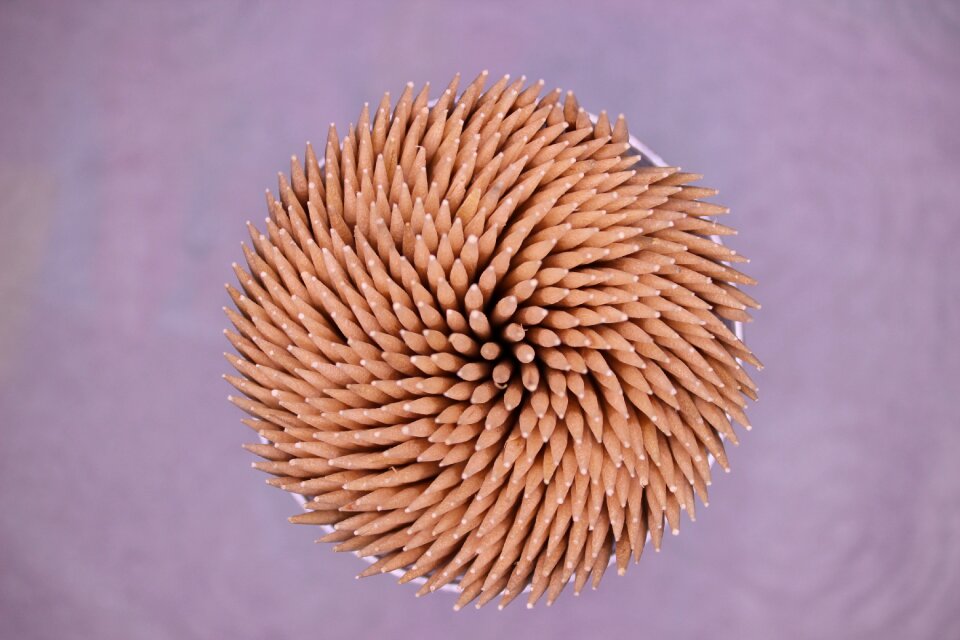 Toothpick wood many