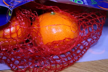 Web citrus fruit packaging