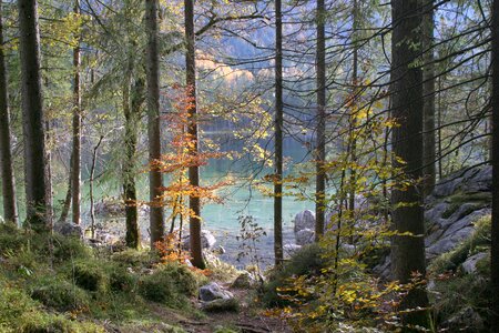 Bavaria upper bavaria lake photo