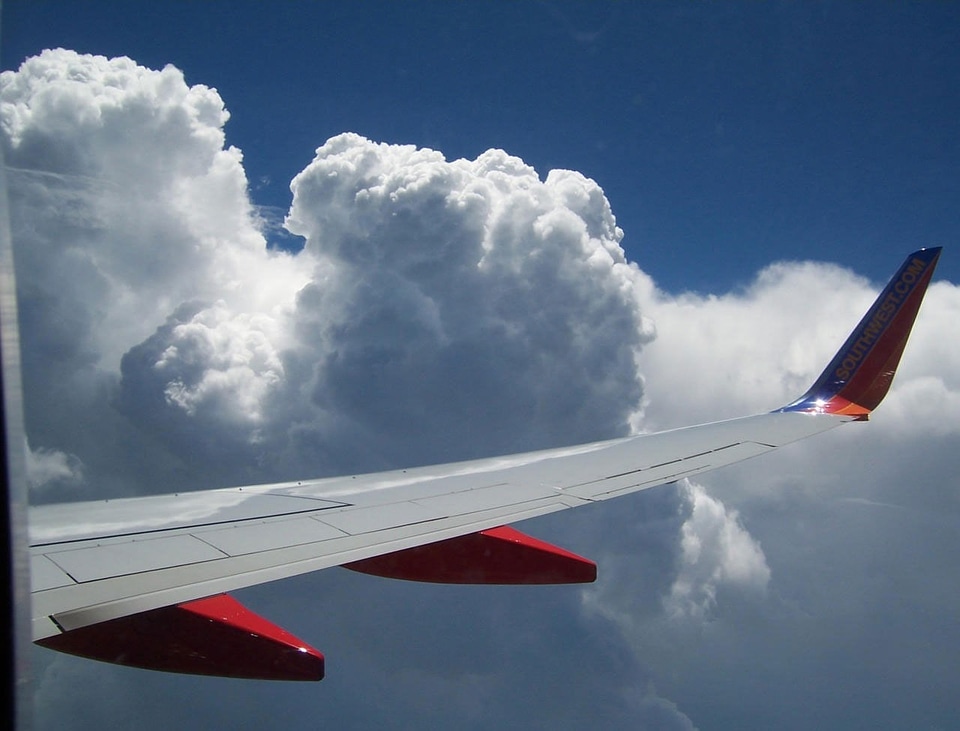Wing sky flying