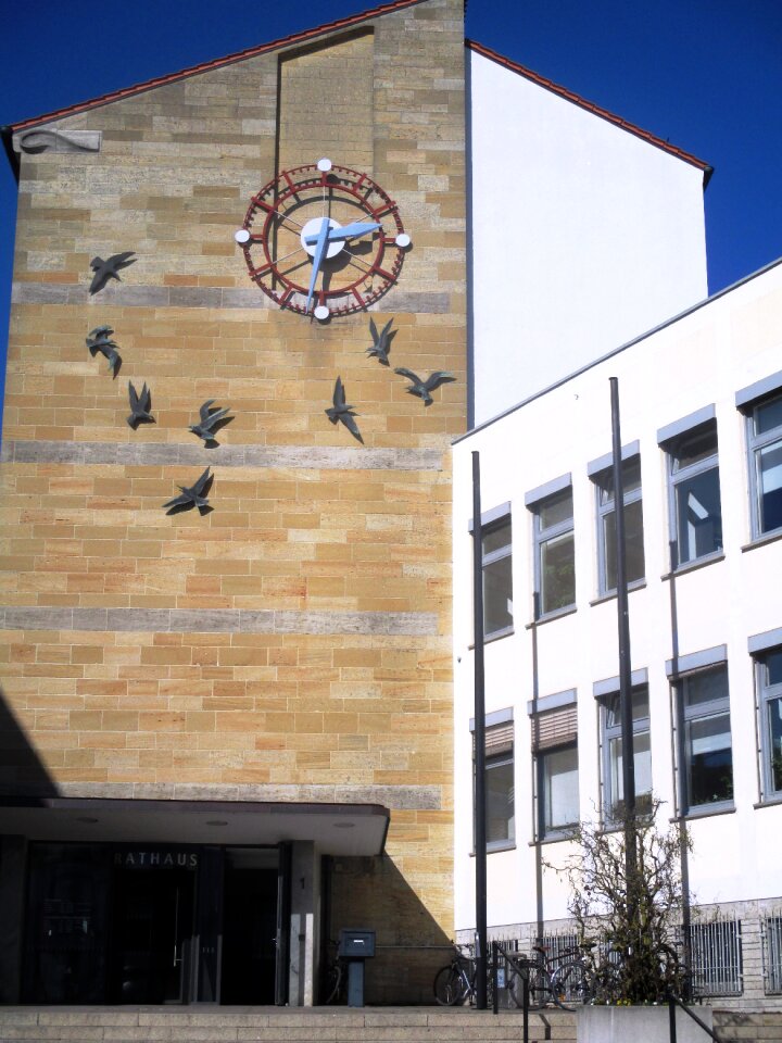 Clock facade gulls