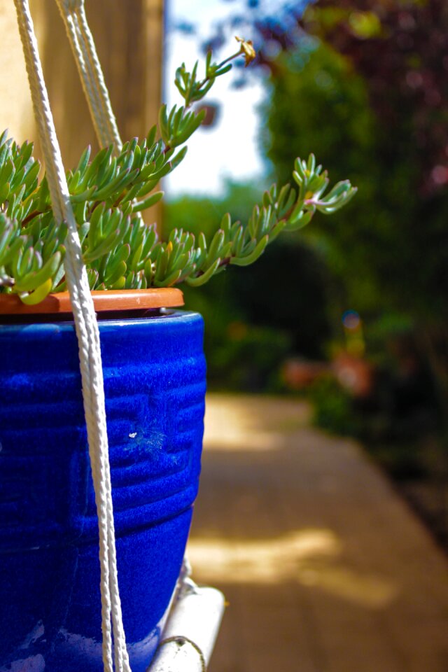 Garden green flowerpot