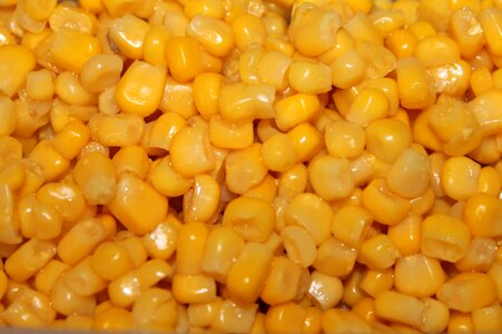 Corn kernels cook eat