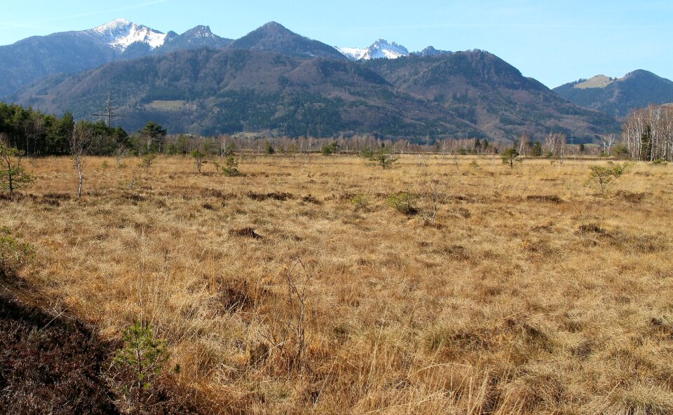 Moor peat mountains