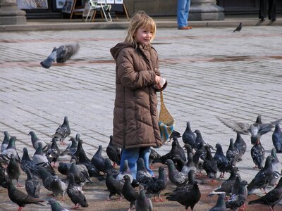 Child feed birds photo