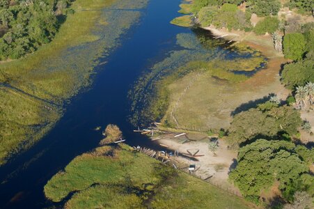 Okavango delta africa botswana photo