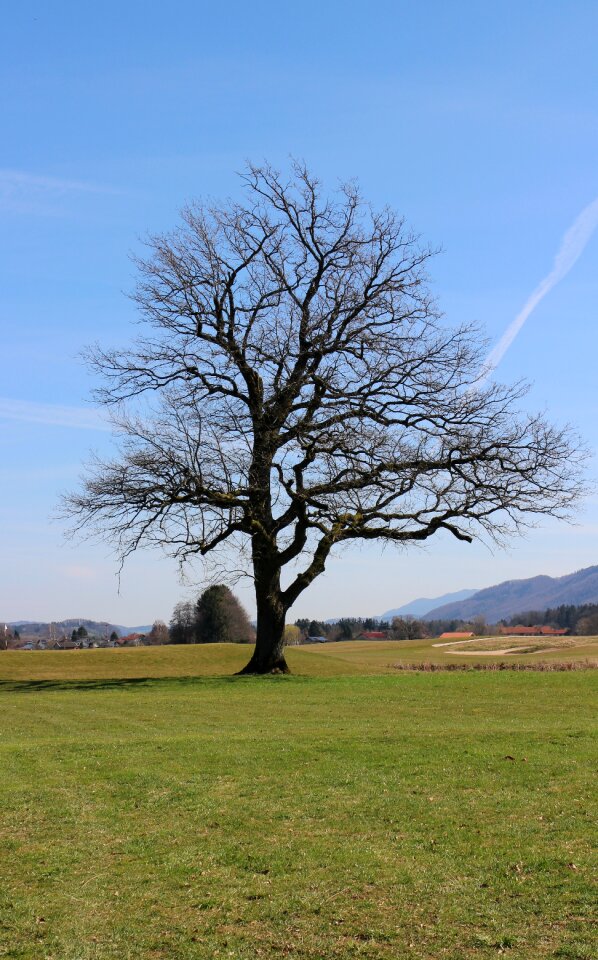 Nature meadow sky