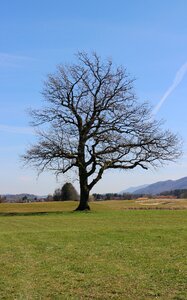 Nature meadow sky