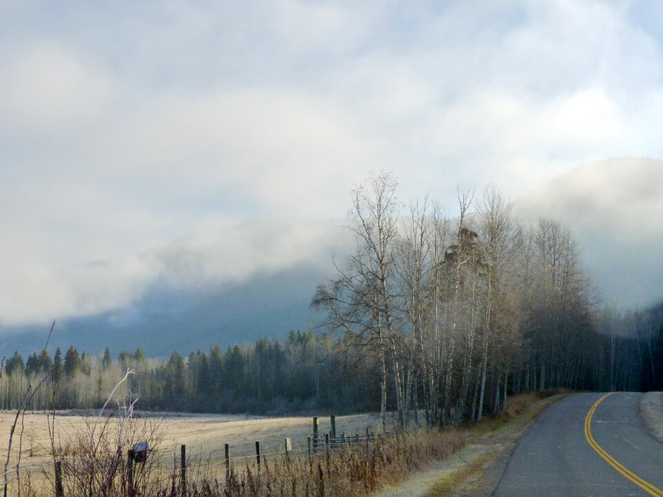 Canim lake british columbia canada photo