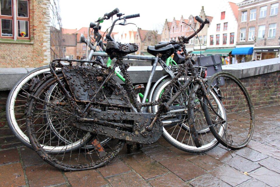 Bike wrecks mussels