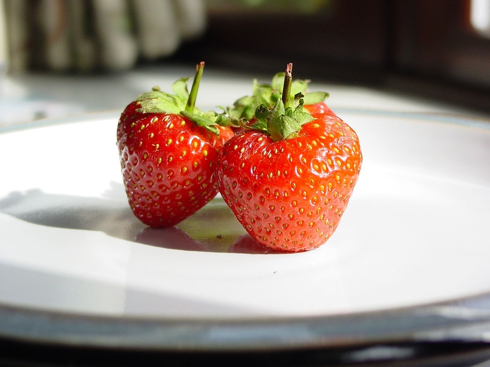 Plate berry berries
