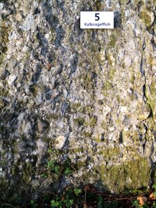Stone romanshorn switzerland