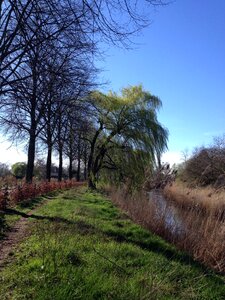 Dommel valley spring wind