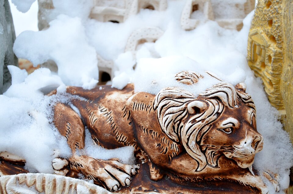 Africa botswana snow