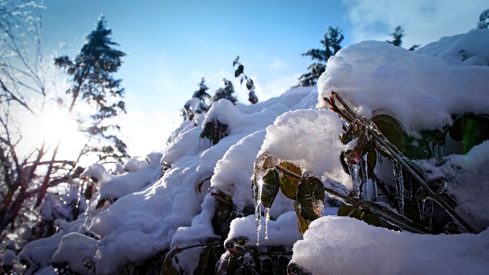 Day ice snow