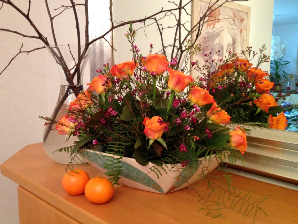 Flowerpot orange shell