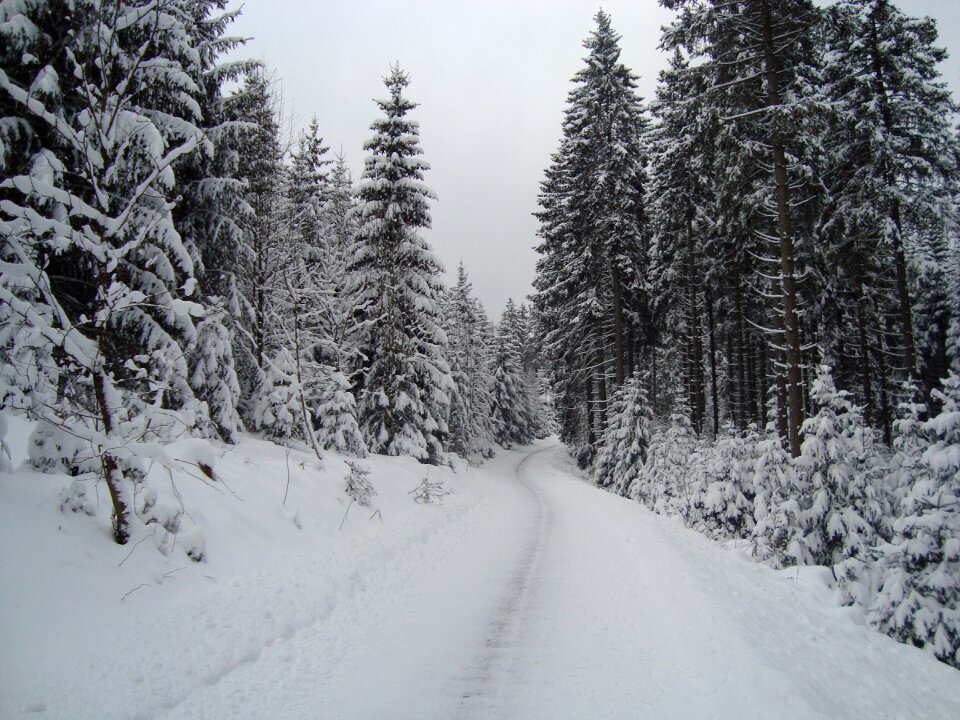 Cross-country skiing winter landscape