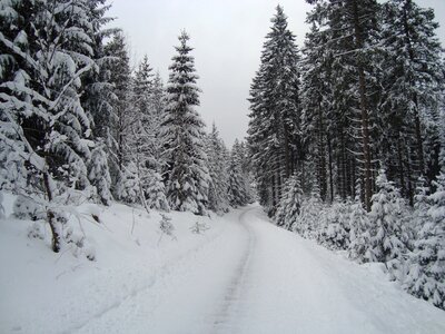 Cross-country skiing winter landscape photo