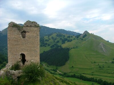 Nature forest castle photo