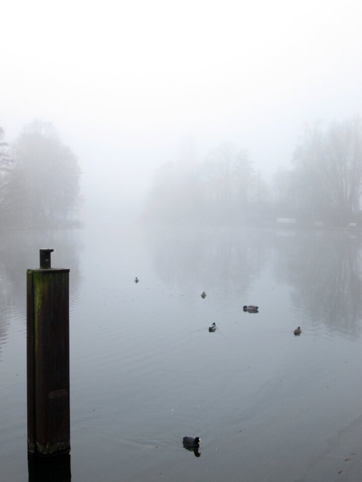 Weather ground fog lake