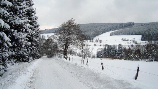 Winter germany cross-country skiing photo