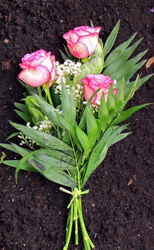 Floral arrangement love affection photo