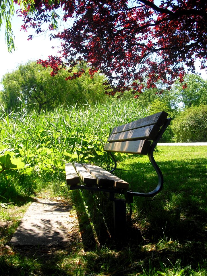 Rest bench on the go