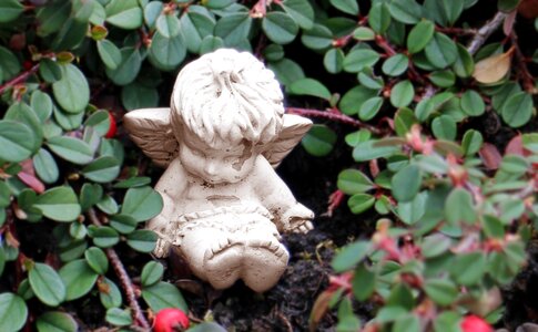 Sitting figure plant