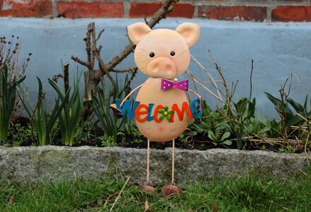 Animal pig pig figurine photo