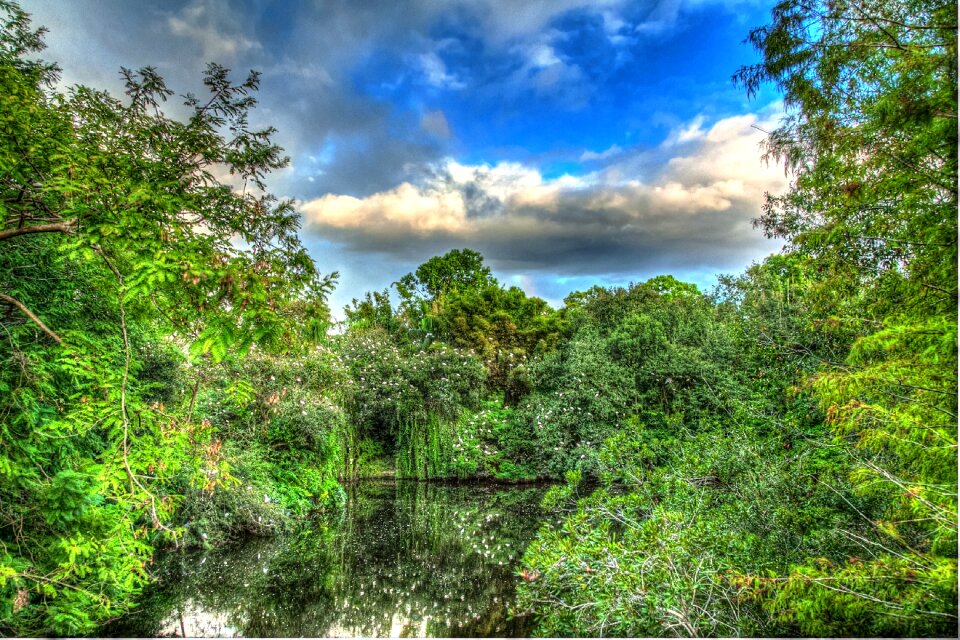 Landscape nature spring