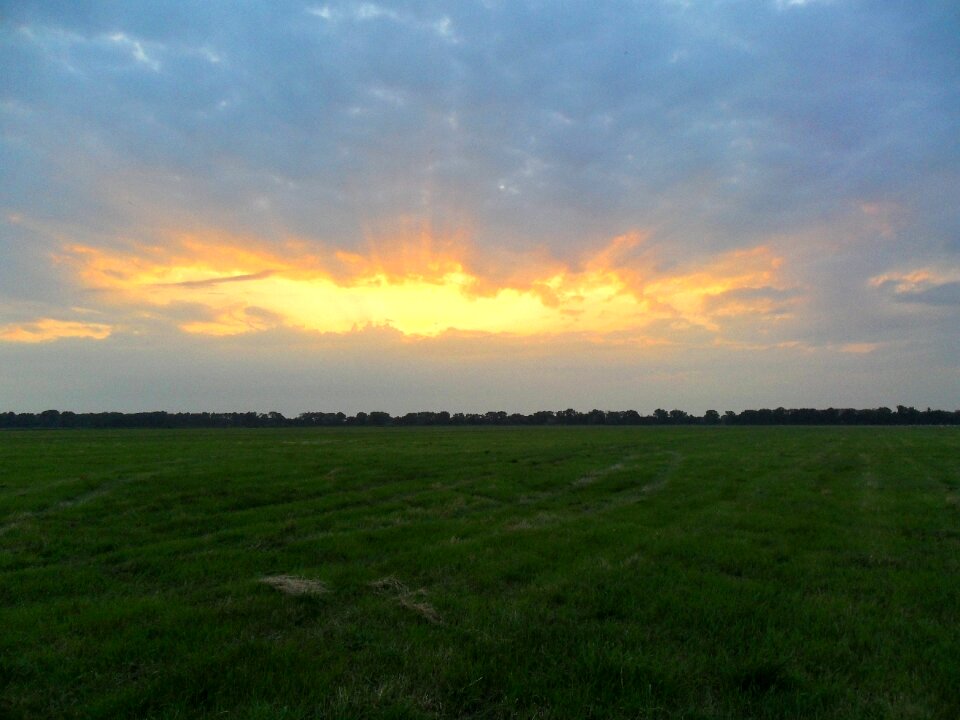 Field meadow arable