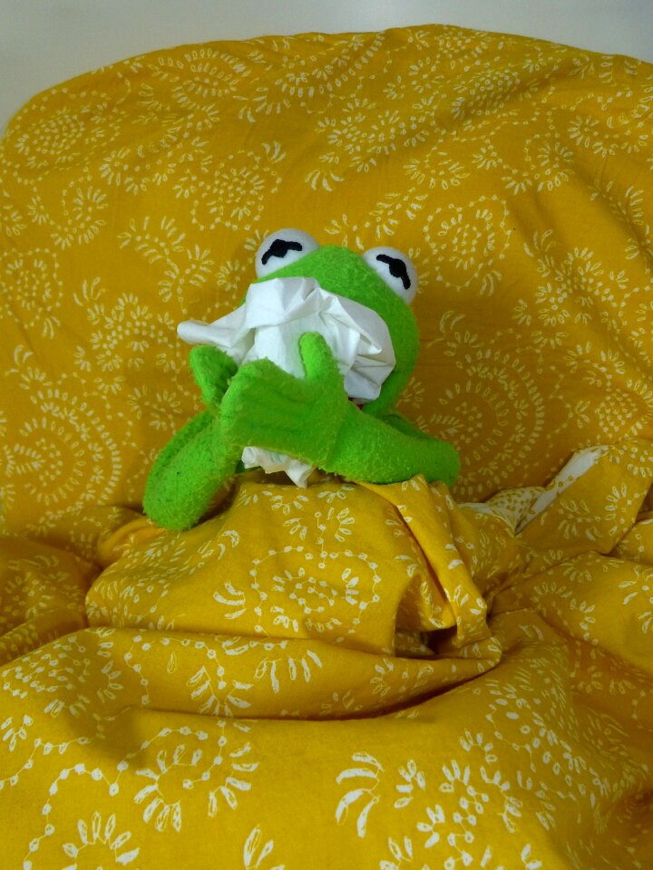 Handkerchief kermit frog