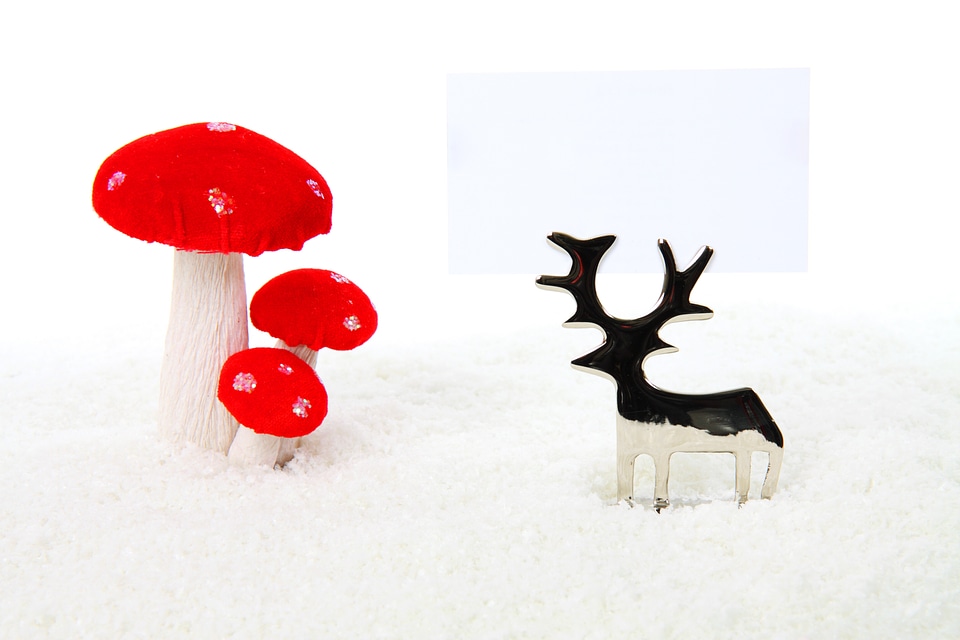 Mushroom celebration christmas