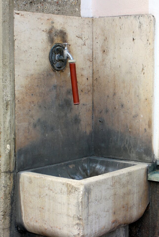 Water watering hole drink
