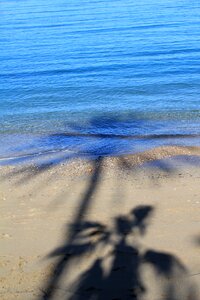 Sea beach party summer
