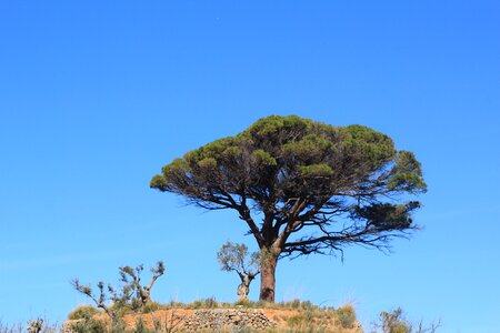 Hike outlook south
