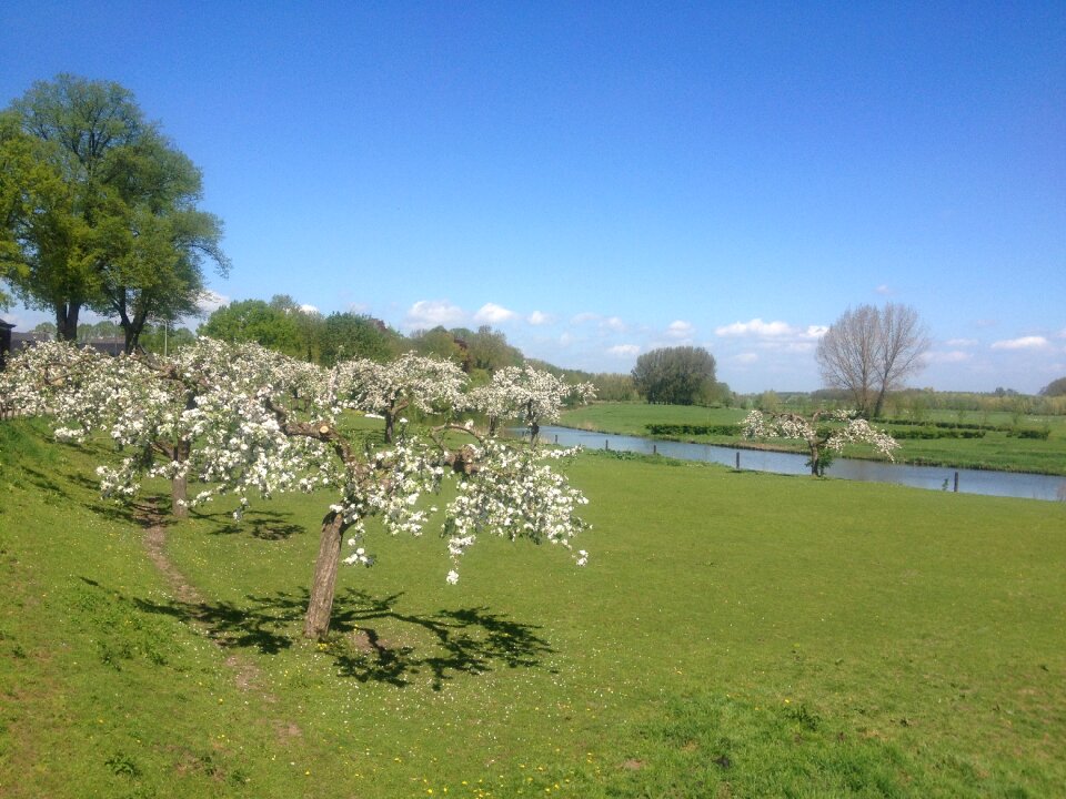 Air blue landscape