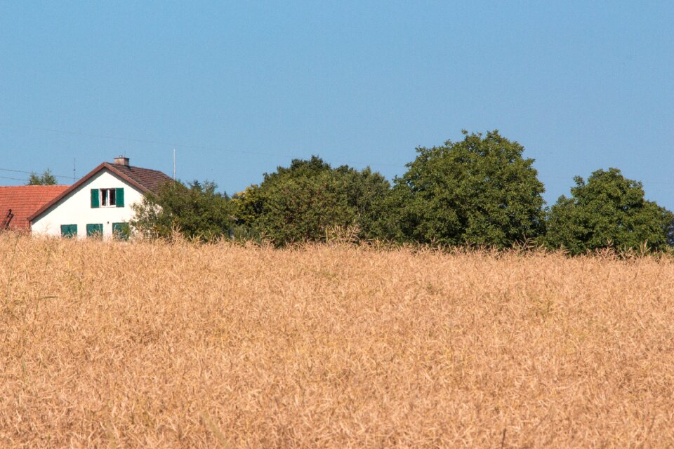 Agriculture harvest hay