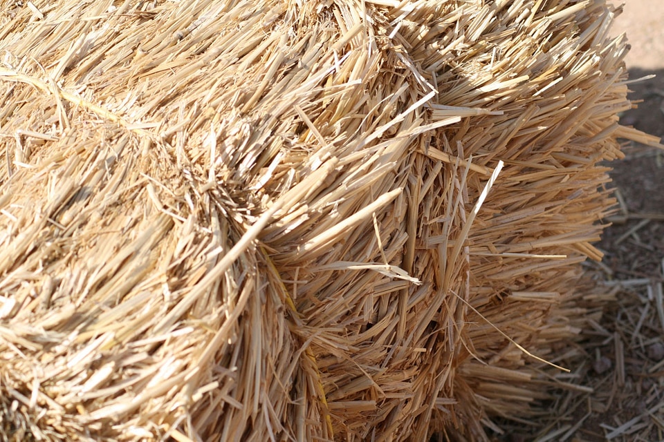 Residue crop harvest