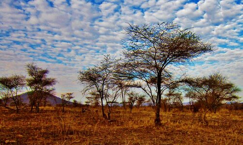 Africa landscape scenery