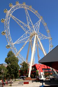 Tourist attraction australia ferris wheel photo