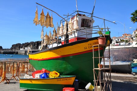 Boat fish sea