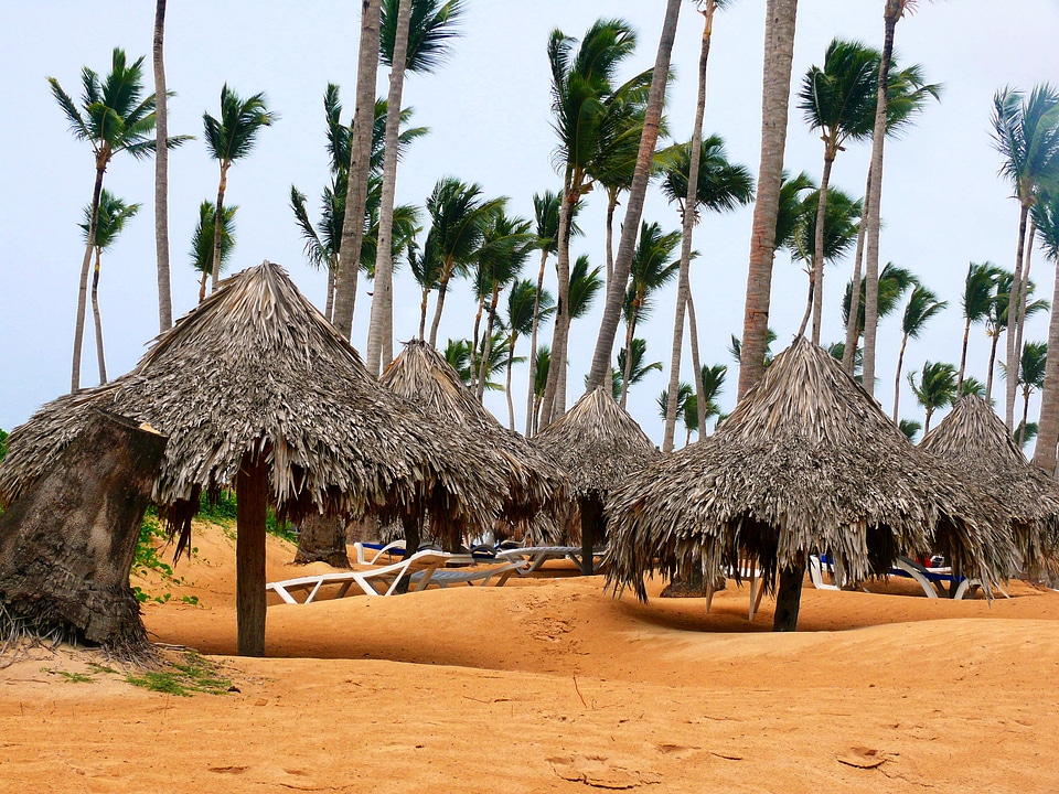 Dominican republic alto